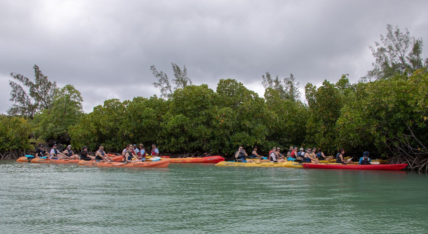 Kayaking experience in Mauritius
