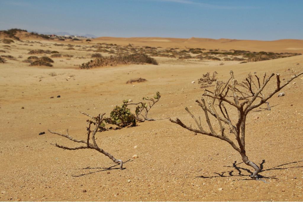 Namib Desert scenery in Namibia