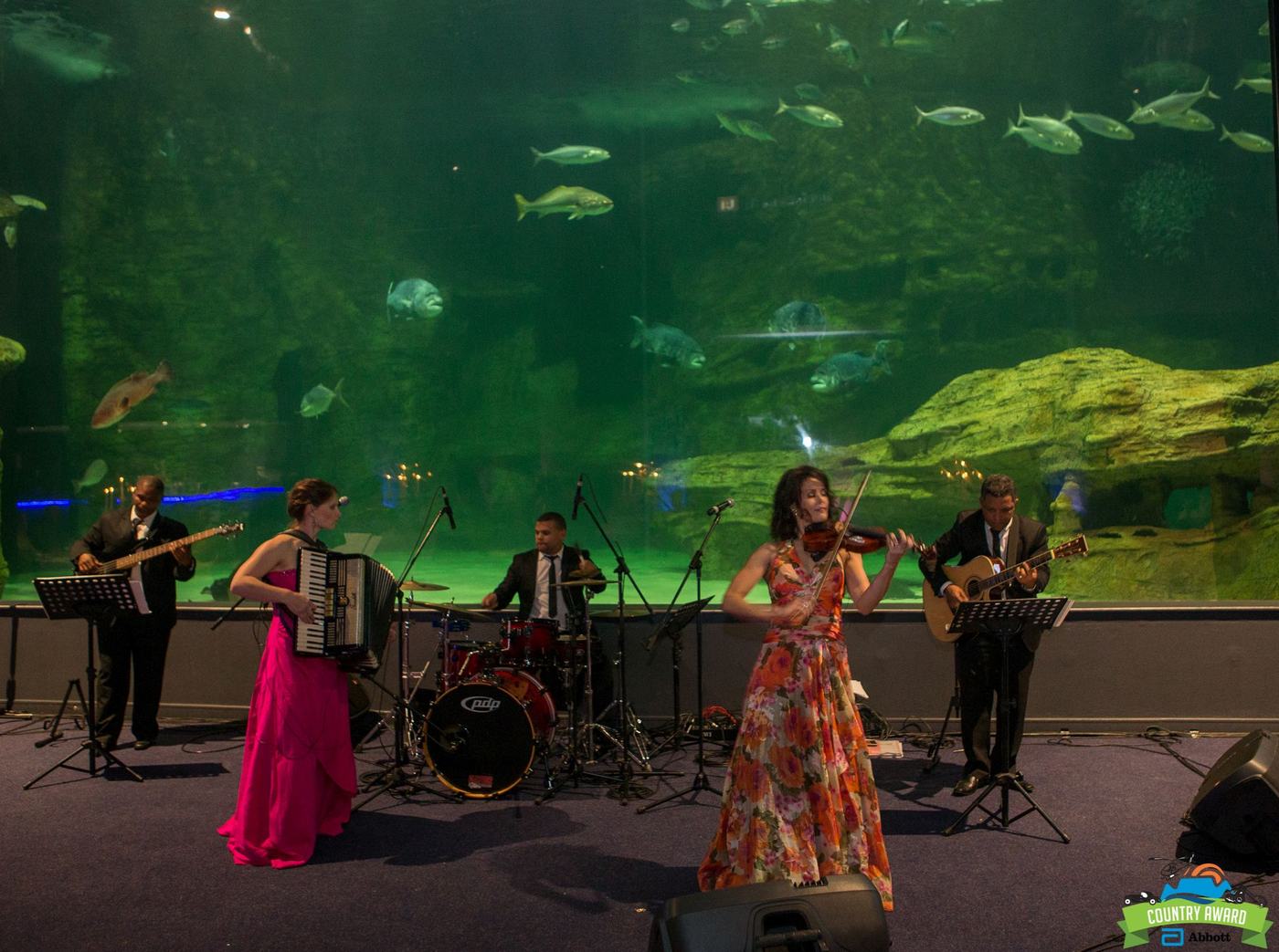 Live dinner entertainment in South Africa